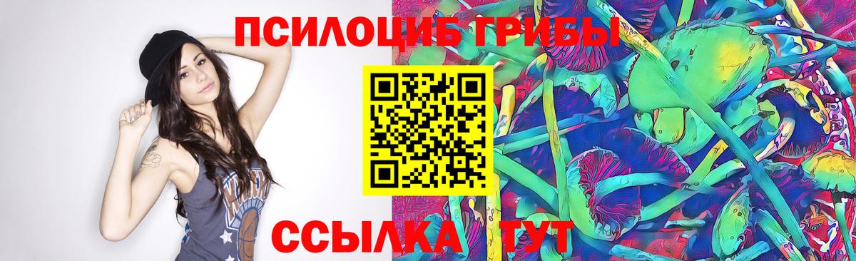 Псилоцибиновые грибы MAGIC MUSHROOMS  Галлюциногенные грибы Psilocybine cubensis  продажа наркотиков  Вход с VPN  Назарово 